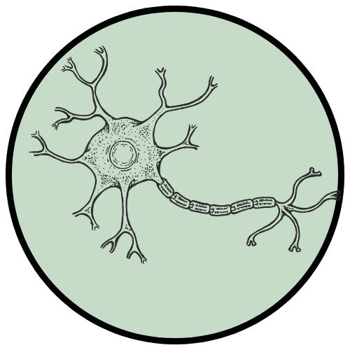 Radical Care Coaching & Facilitation logo